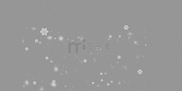 飘落的雪花