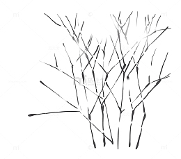 纷飞的雪花和树枝