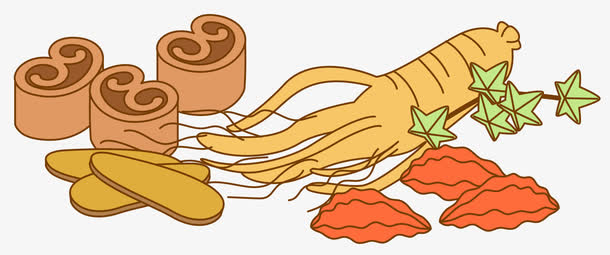 矢量手绘肉卷和人参食物