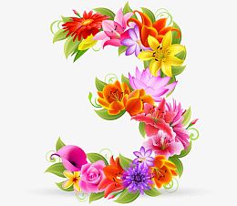 时尚花纹花朵鲜花数字3