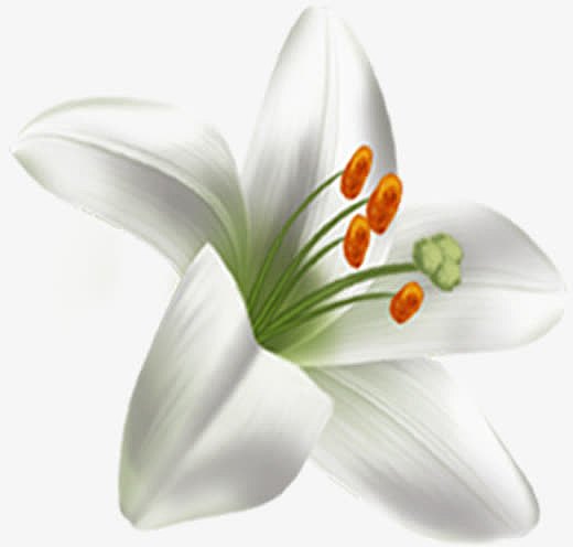 白色淡雅唯美盛开水彩花朵