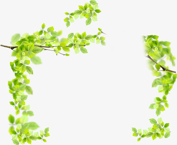 绿色树叶美景边框设计清新