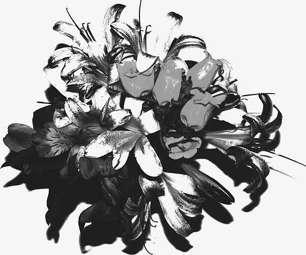 黑色抽像花朵