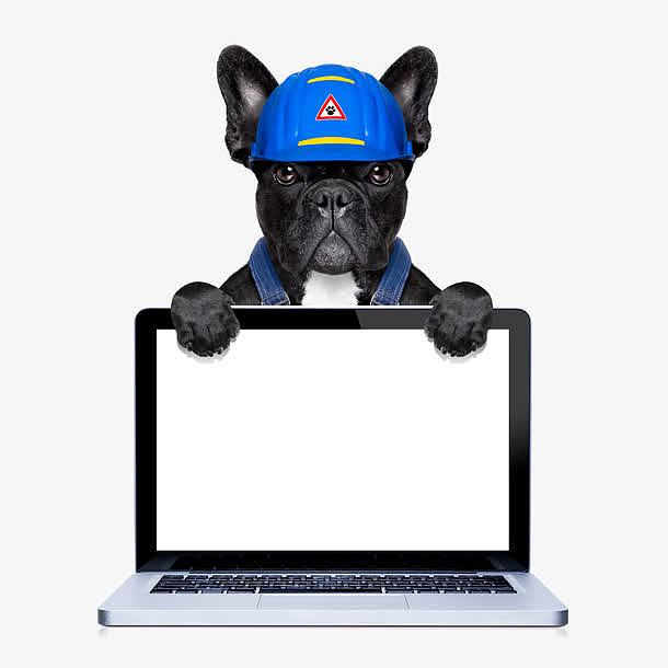 创意小狗拟人化形象设计