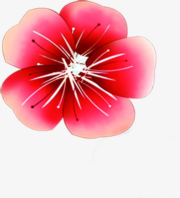 红色水彩手绘花朵设计