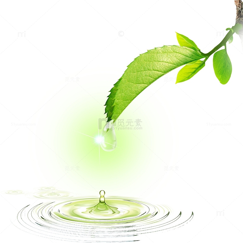 绿色清新叶片水滴素材