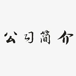 公司简介