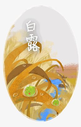 白露