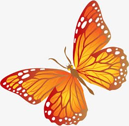 彩色绚丽手绘蝴蝶设计