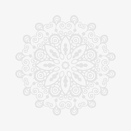 蕾丝花边花纹