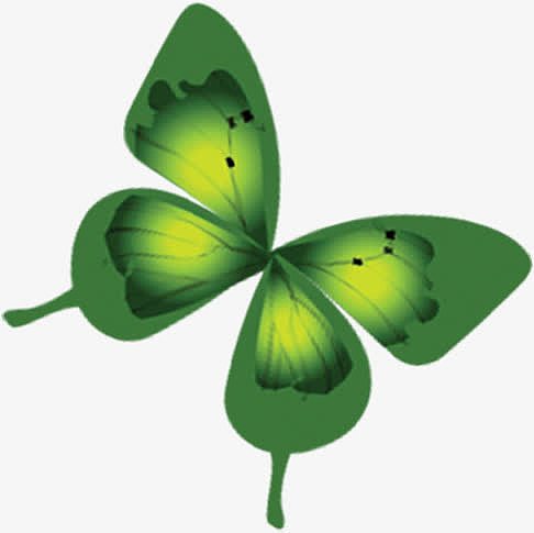 绿色设计蝴蝶风光