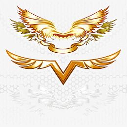 金属翅膀