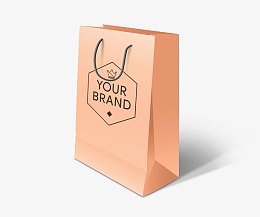 可换logo的纸袋