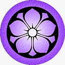 紫色桔梗日本妈妈