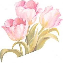 郁金香水彩丝带矢量图1