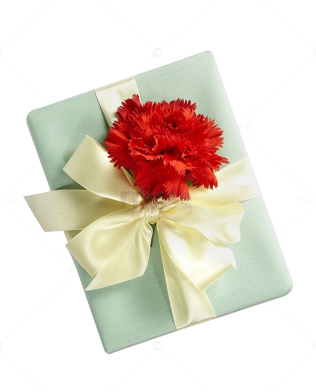 红色康乃馨礼物盒免抠素材