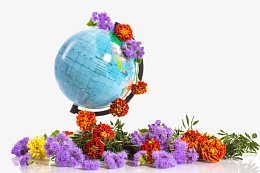 地球仪上的鲜花