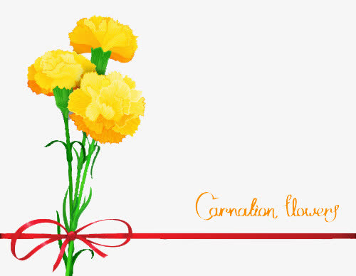 康乃馨矢量素材