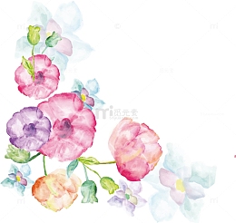矢量手绘康乃馨水彩画11