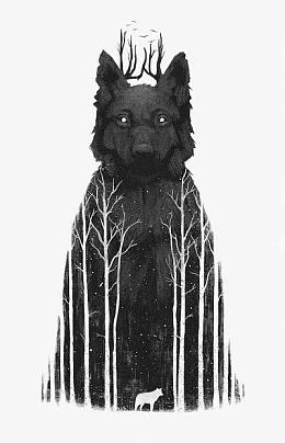 狼
