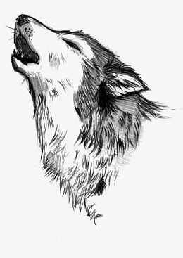 野狼图腾素材-野狼图腾png图片下载-觅元素