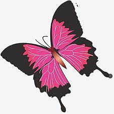 粉色可爱唯美展翅蝴蝶
