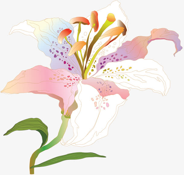 关键词 : 鐧惧悎,鑺辨湹,鑺卞崏,鎵嬬粯,鐧惧悎鑺[声明] 觅元素所有