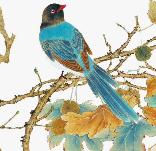 手绘工笔花鸟画素材免费下载_觅元素