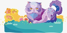 在水边玩耍的加菲猫