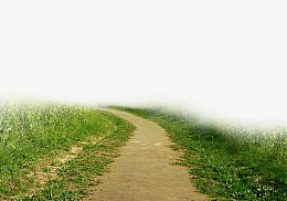 田间小路