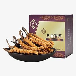 冬虫夏草
