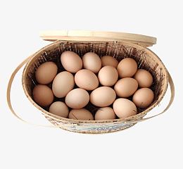 一篮子鸡蛋