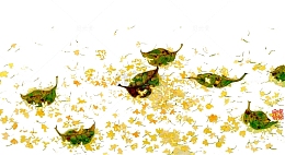 桂花花瓣