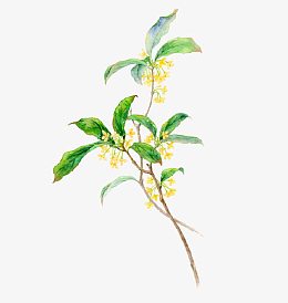 金色对称花纹矢量图