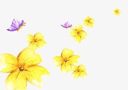 桂花与蝴蝶图片素材