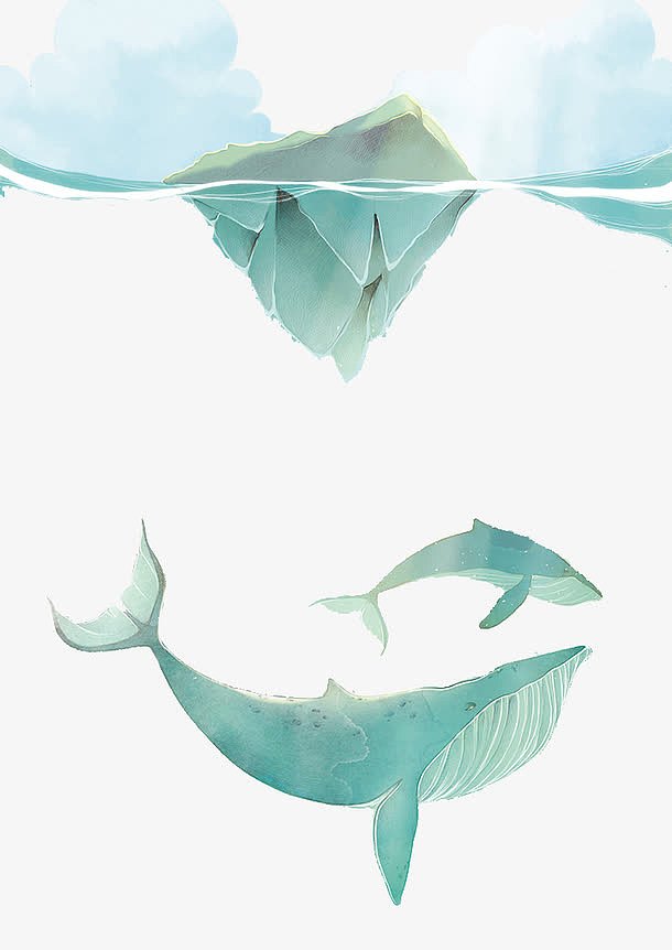 彩绘冰山鲨鱼