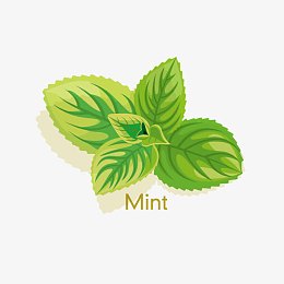 薄荷