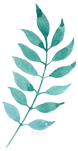 手绘薄荷绿叶