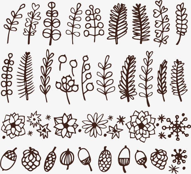 38款手绘植物设计矢量图