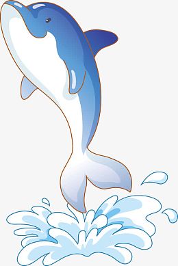 海豚