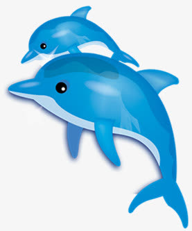 海豚素材免费下载_觅元素