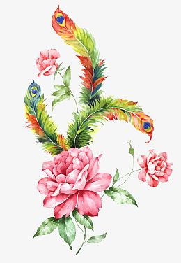 羽毛花