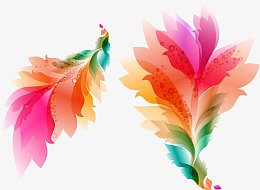 五颜六色羽毛