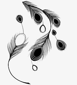 孔雀羽免抠素材