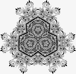 装饰黑白色孔雀羽毛花纹