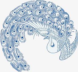 青花瓷色系孔雀