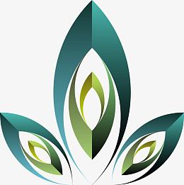手绘孔雀羽毛元素