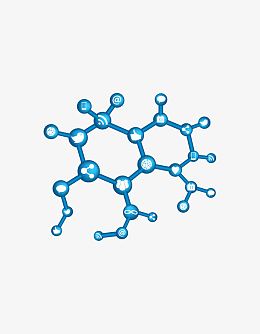 高分子