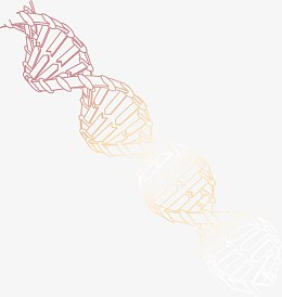 dna