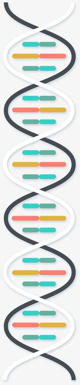 dna